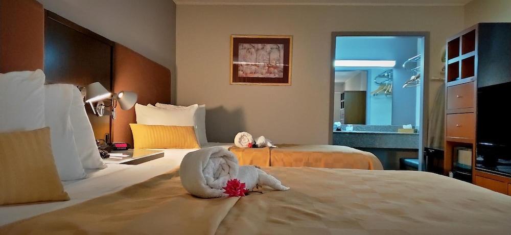 Motel Discovery