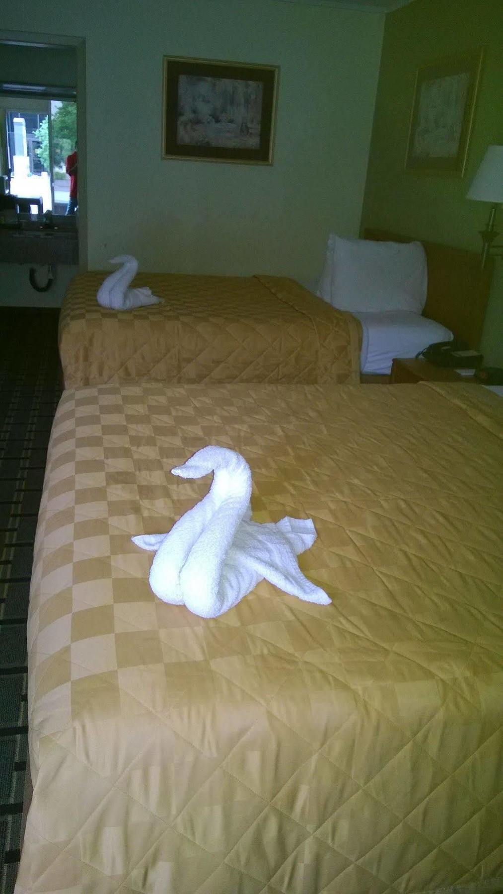 Discovery Motel Lafayette
