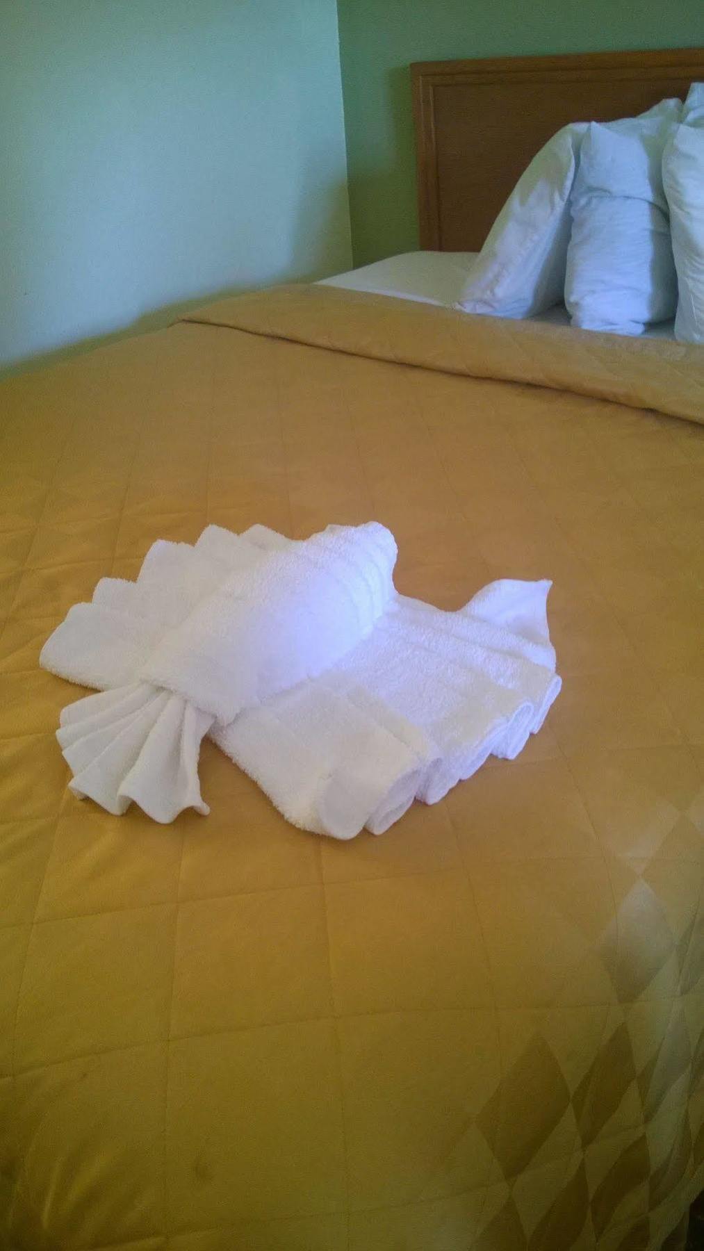 Motel Discovery 2*