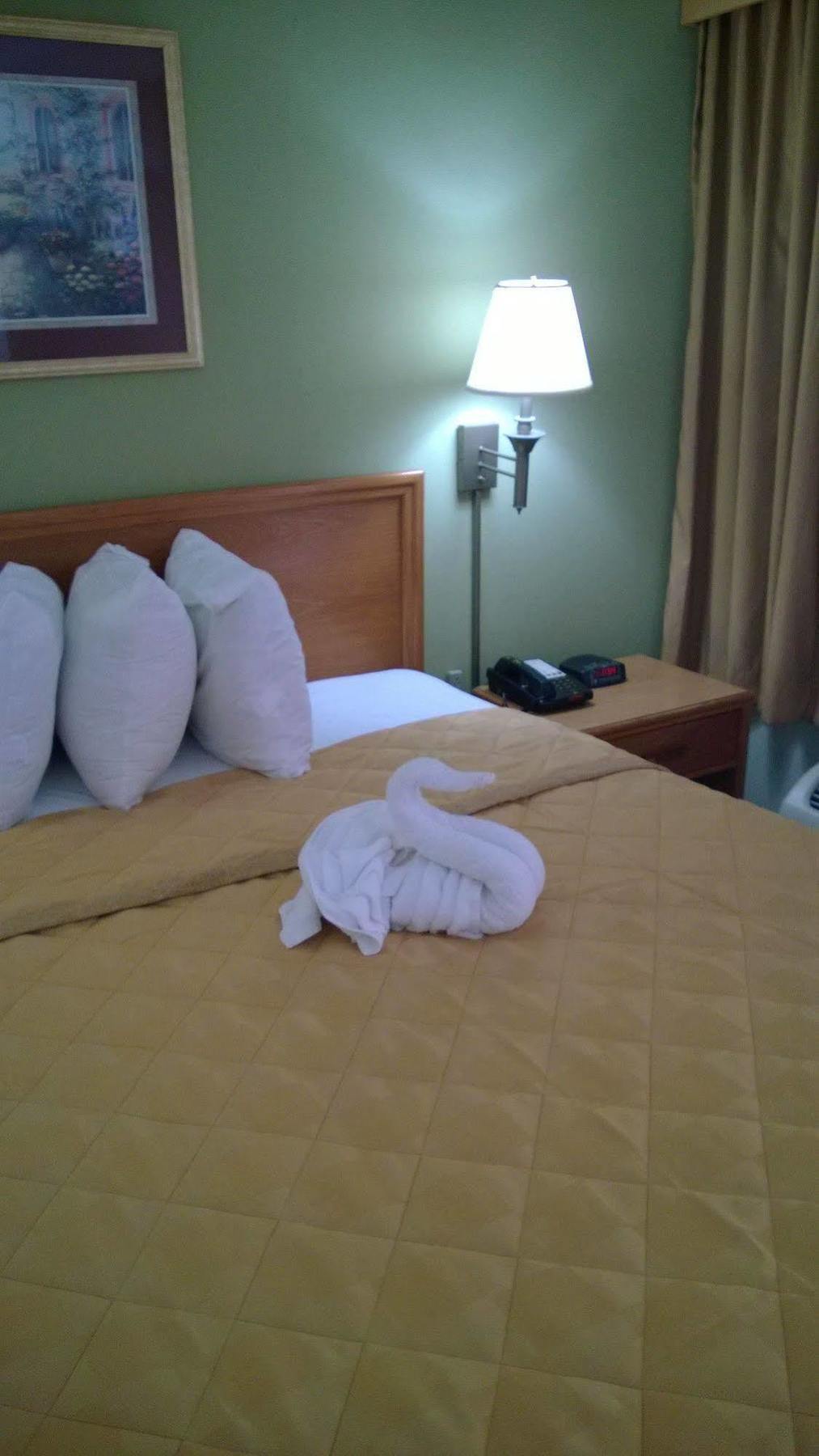 Discovery Motel